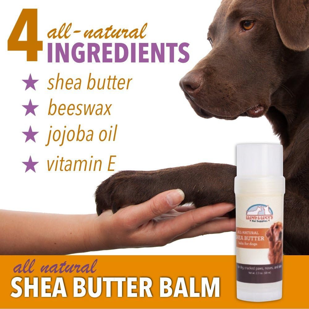 shea butter on dogs paws