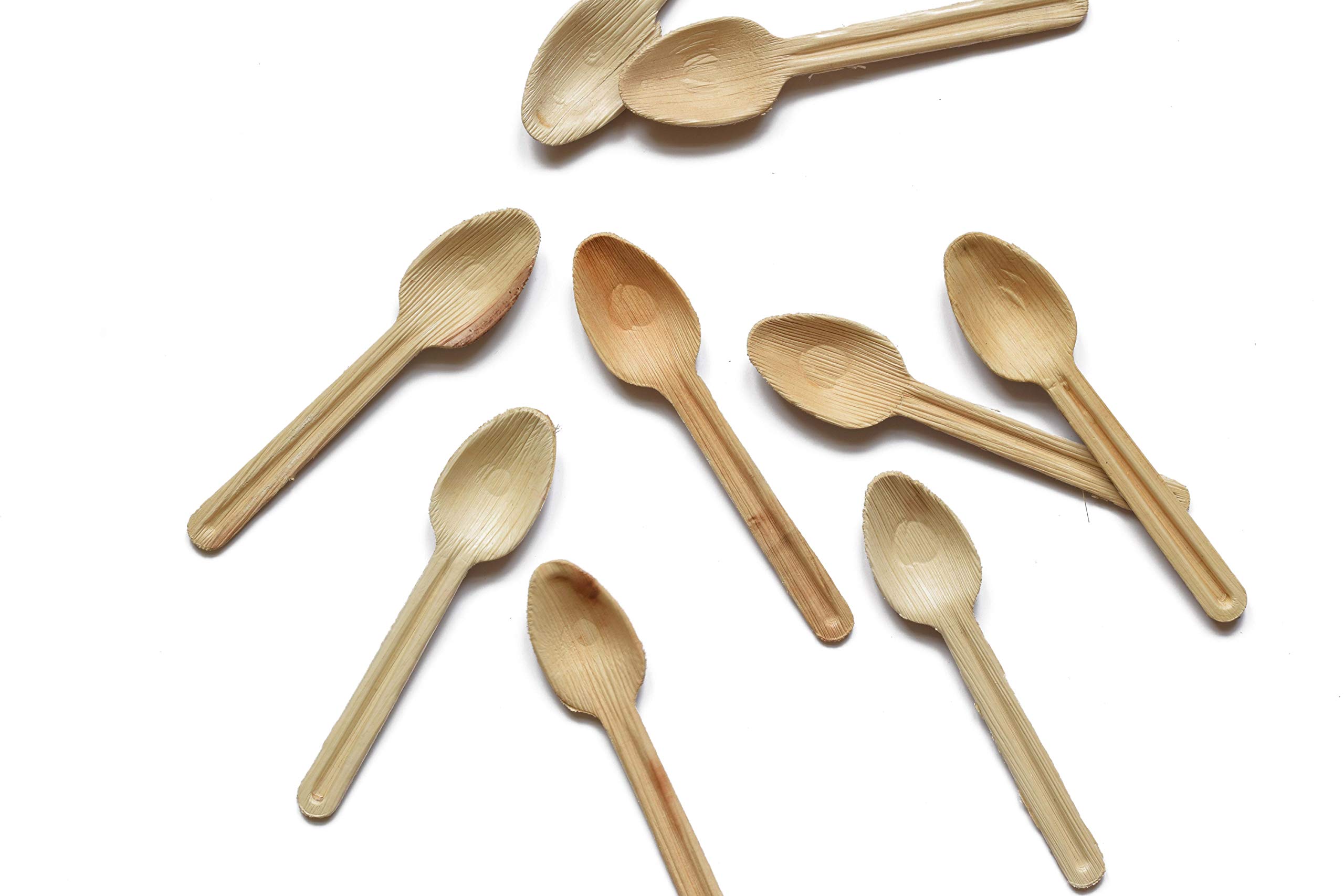 DISPOSABLE GREEN® | Pack of 25 Spoons | DEEP Head | COMPOSTABLE, BIODEGREADABLE, ECO Friendly| Strong and Sturdy | 25 PCS