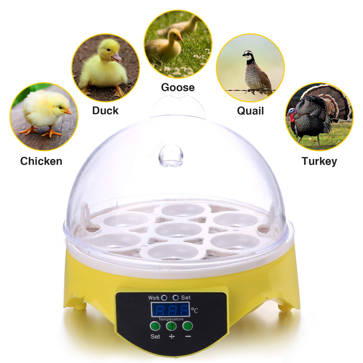 General Purpose Incubators Currens 7 Egg Incubator Digital Mini Incubators For Hatching Chicken Turkey Quail Fertilized Eggs Industrial Scientific Novalaw Unl Pt