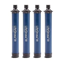 LifeStraw Personal Water Filter for