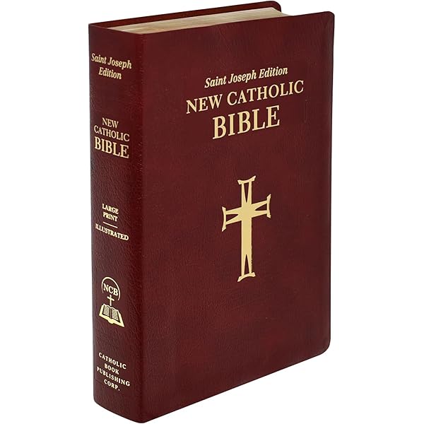 洋書 The HOLY BIBLE English standard version The Holy Bible English Standard Version: crossway-bibles