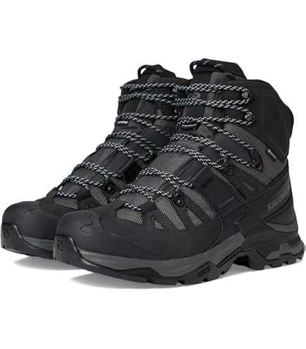 Amazon.com | LOWA PROFESSIONAL Men's Classic Trekking & Hiking