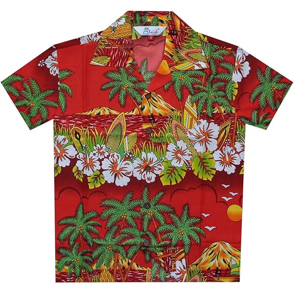 Manches Courtes Chemise Hawaienne Garcon Chemise