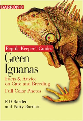 is an iguana an amphibian