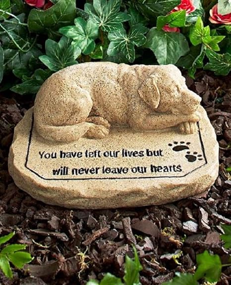 Pet Memorial Stones Dog: Amazon.ca: generic