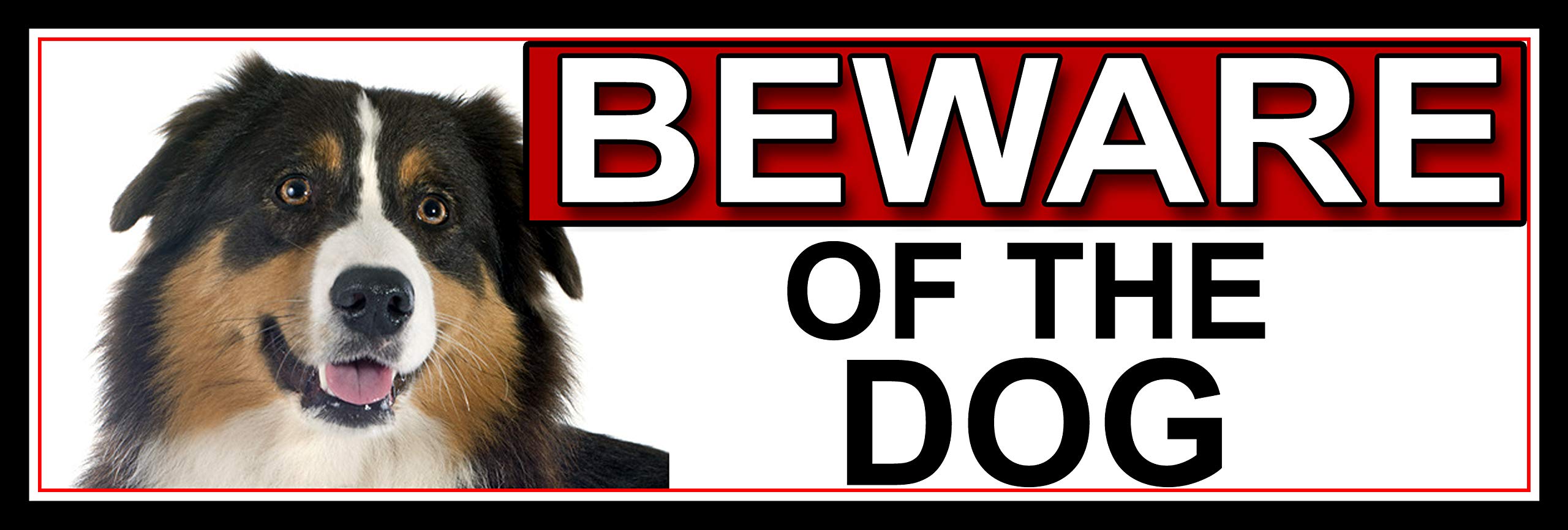 SHAWPRINT Australian Shepherd BEWARE OF THE DOG METAL GATE SIGN 266mm x 87m. (498H2)