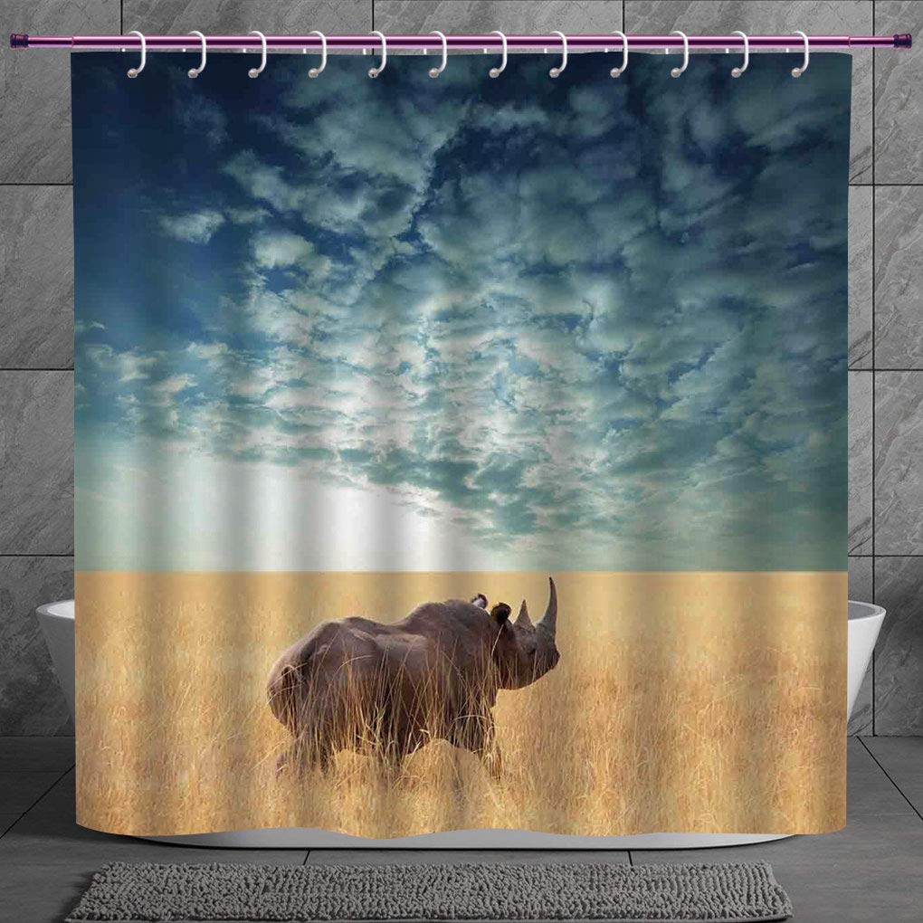 Stylish Shower Curtain 2 0 Safari Decor Rhino Rhinoceros Sun Shining Through Cloudy Sky Grassland Autumn View Picture Fabric Bathroom Decor Set With Hooks Amazon In Home Kitchen