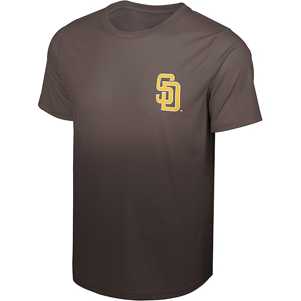 Amazon.com: Nike Men's MLB Velocity Performance Practice T-Shirt