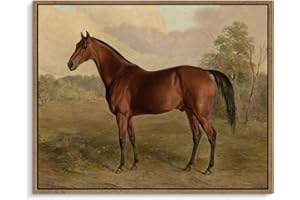 Pinetree Art Framed Canvas Wall Art Room Decor, Vintage Horse Paintings Prints, Rustic French Farmhouse Wall Art for Bedroom Bathroom Wall Decor 8"x10"