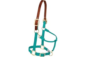 WEAVER LEATHER Weaver Equine Breakaway Horse Halter, Supple Leather Crown, Adjustable Chin & Throat Snap Halters for Horses, Equine Tack