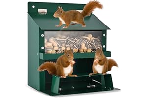 Squirrel Feeders for Outside, Metal Squirrel Feeder with Flip Lid, Large Transparent Bin, Outdoor Hanging Squirrel Feeder for