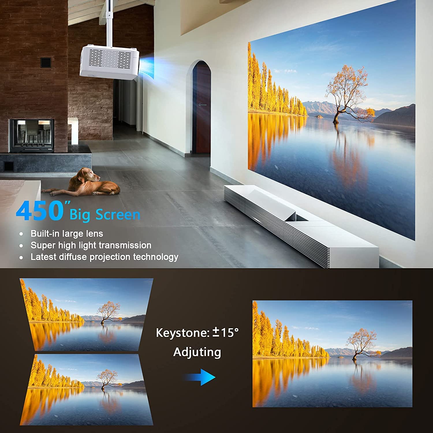WiFi Bluetooth Native 1080P Projector, 20000LM 450