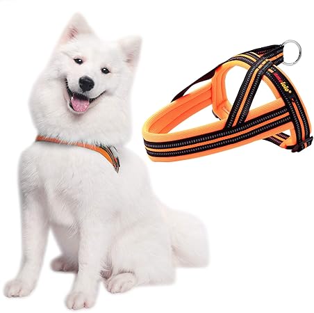 the best harness for dogs that pull