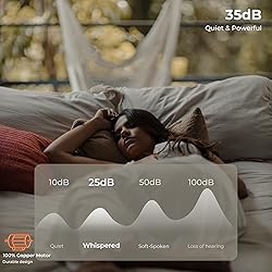 CHANFOK Ceiling Fan with Lights and Remote, Modern