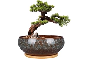 EPFamily 8 Inch Ceramic Bonsai Planter Pot, Glazed Shallow Succulent Planter with Drainage Hole and Bamboo Saucer for Indoor Plants, Brown