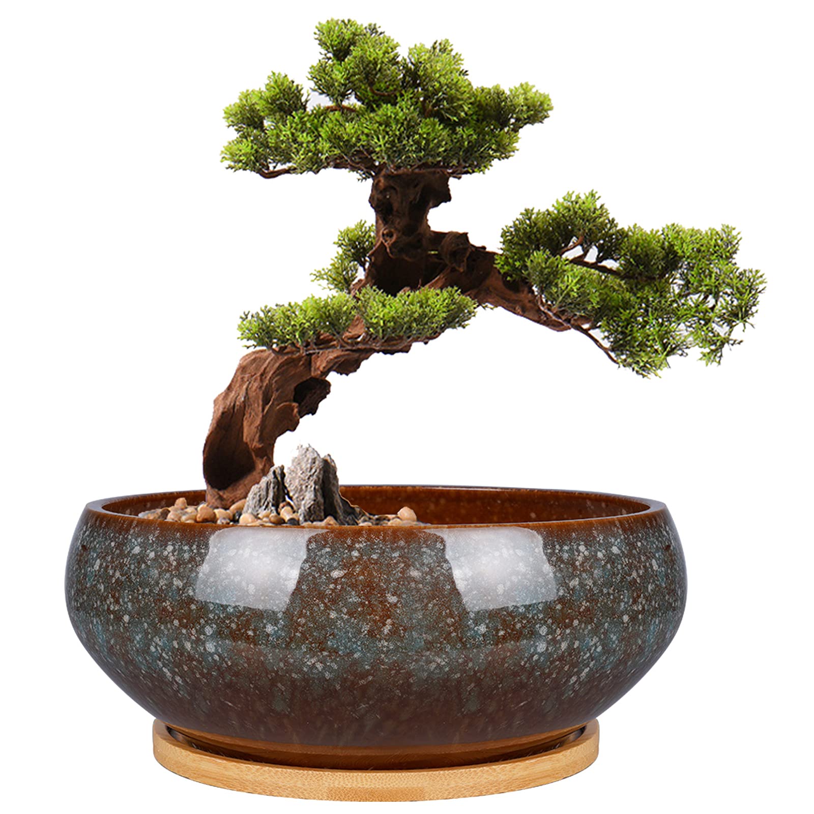 EPFamily 8 Inch Ceramic Bonsai Planter Pot, Glazed Shallow Succulent Planter with Drainage Hole and Bamboo Saucer for Indoor Plants, Brown