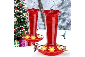 Gbekery 10 OZ Glass Hummingbird Feeders for Outdoors Hanging - Red 2 Pack, Ant & Bee Proof and 6 Feeding Ports, Garden Yard Décor Gifts for Mom