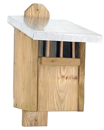 Rotkehlchen Nistkasten Echtholz Massiv Handarbeit Fur