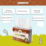 Coco & Coir Organic Peat Free Compost 6 x 650g for Reptiles & Plants view 2