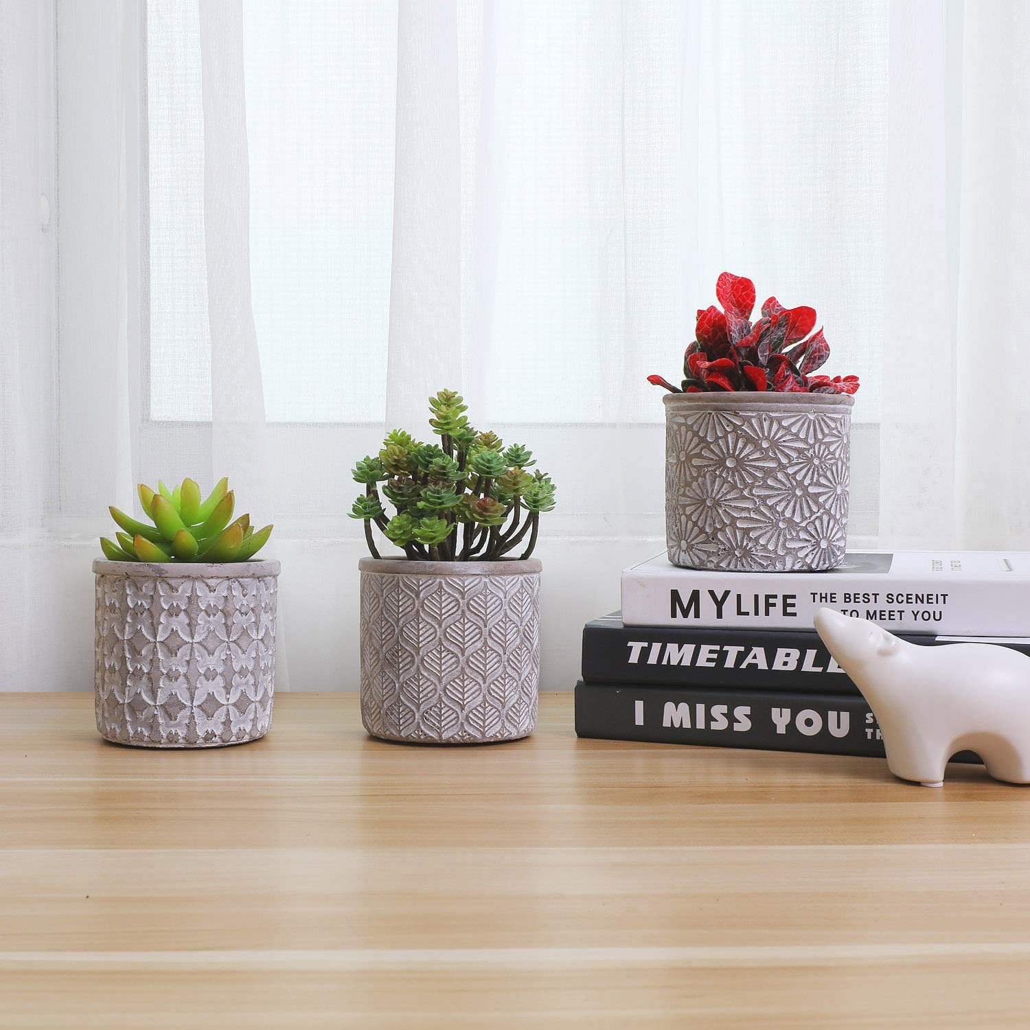 diễn đan rao vặt