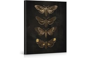 Vintage Gothic Moth Canvas Wall Art Print Moth Dark Academia Picture Painting Goth Moody Animal Farmhouse Home Wall Decor 8x1
