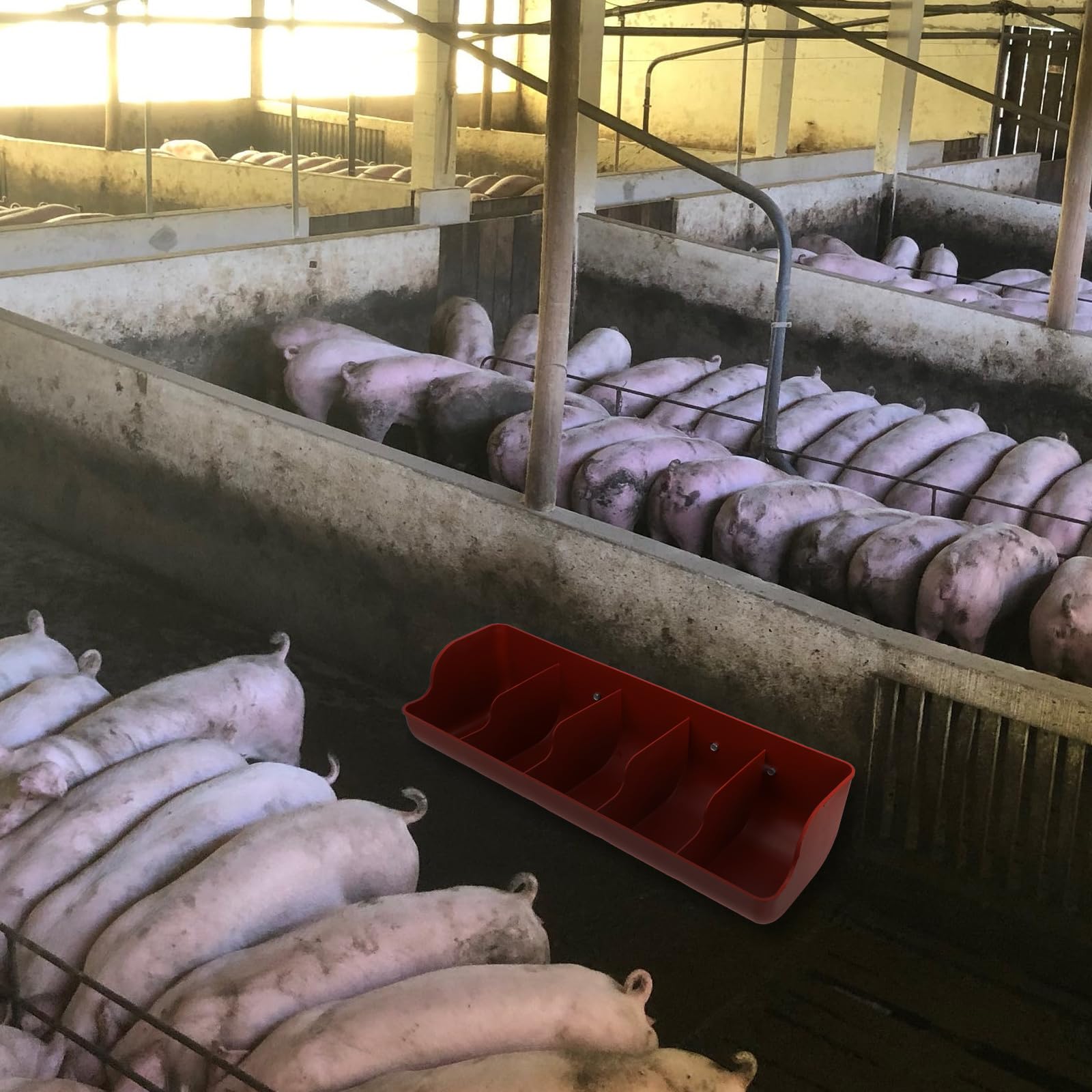 Condition photo showing New/Like New for angoily pig feeder, thickened polypropylene plastic, suitable for guinea pig, multiple pets