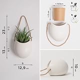 Kazai Ellie Wall Planters 3 Piece Cream Matte Ceramic Hanging Pots view 5