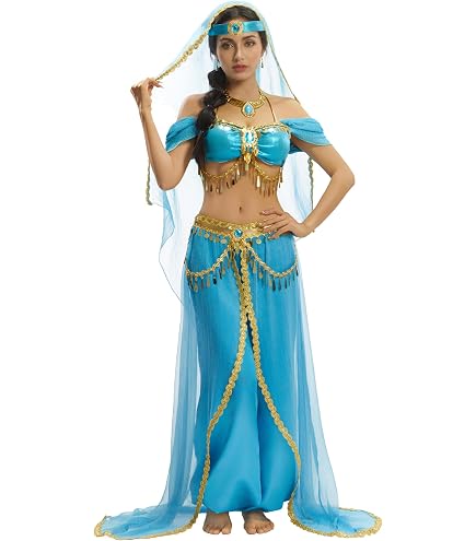 Amazon.com: COWINTIC Belly Dance Princess Costume - Aladdin