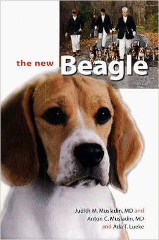 The New Beagle �n�[�h�J�o�[ - 1998/3/1