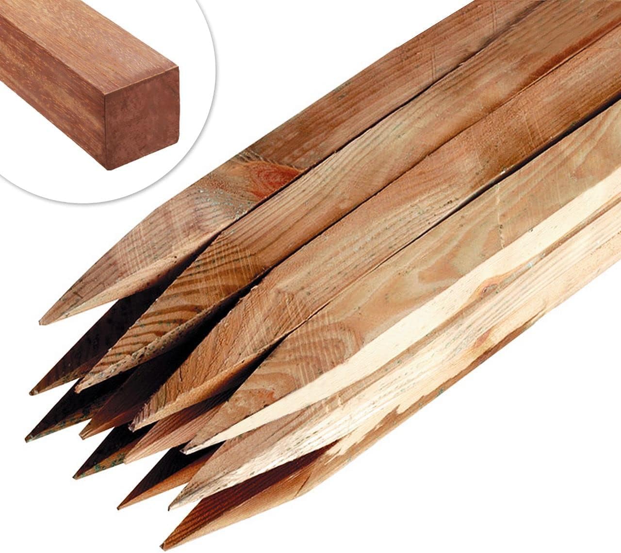 Garden Stakes by Circle of Trust, 30cm Long Wooden Stakes for Plant & Tree Support (pack of 10) - Pressure Treated Timber – 2.5cm Thickness