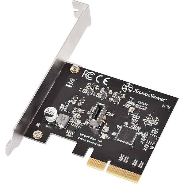 Amazon.com: Silver Stone SST-ECU02-E USB 3.2 Gen 2 Internal 20 Pin