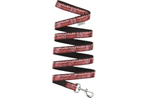 Zubaz NFL Team Pet Leash for Dogs & Cats, Tampa Bay Buccaneers, Large