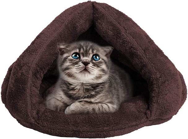 covered cat beds