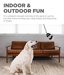 Outward Hound Tail Teaser Durable Dog Wand with