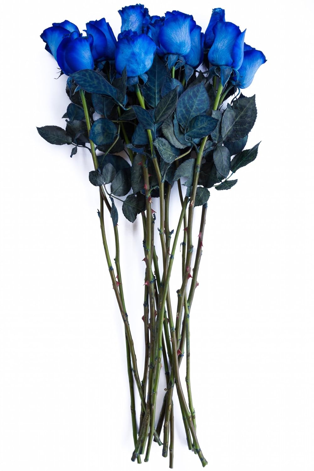 Amazon Com Fresh Blue Roses Bouquet By Flower Explosion 12 Stems Grocery Gourmet Food