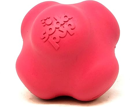 crazy bouncing ball for dogs