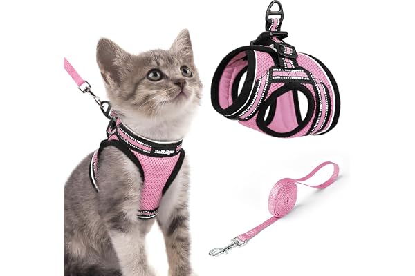 rabbitgoo Cat Harness and Leash Set, Step-in Soft Vest, Pink | Escape Proof, Lightweight, Easy-on & Adjustable, Hook & Loop w