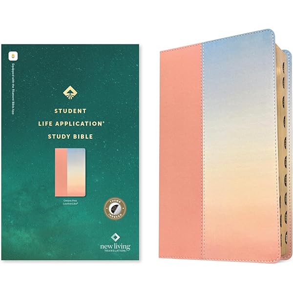NLT Student Life Application Study Bible, Filament Enabled