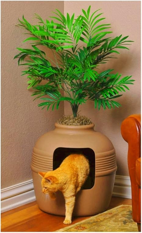 Amazon Com Large Cat Litter Box High Sides Covered Hidden With