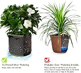 Ayvicco 5-Pack 1 Gallon Heavy Duty Nonwoven Aeration Fabric Pots view 4