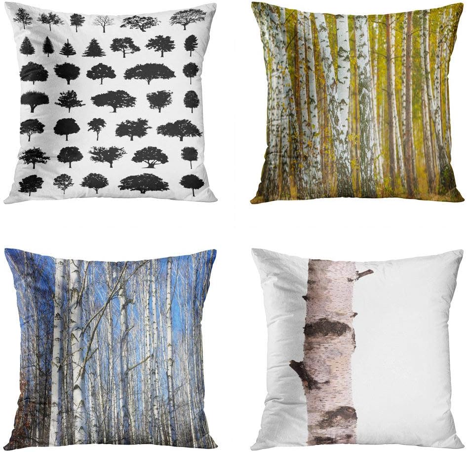 Best Birchwood Cat Bedding