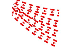 AhfuLife 33 Ft Canada Small Flags Banner for World Cup Decoration 2026, 30 Pcs Mini Canadian Bunting String Flags - Double Si