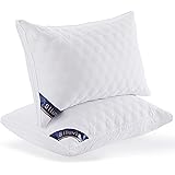 indulgence by isotonic amazon