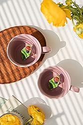 DIHOclub Ceramic Ladybug Cup Hidden 3D Animal
