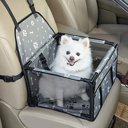 dog travel blanket car