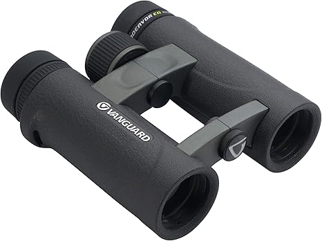 vanguard endeavor ed ii 8x32