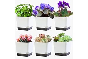 Oliz 3.9 inch Succulent Pots with Drainage Hole, 6 Pack Plastic Modern Style Small Plant Pots Flower Planters for Indoor Plants Gift Idea (Plants Not Included)