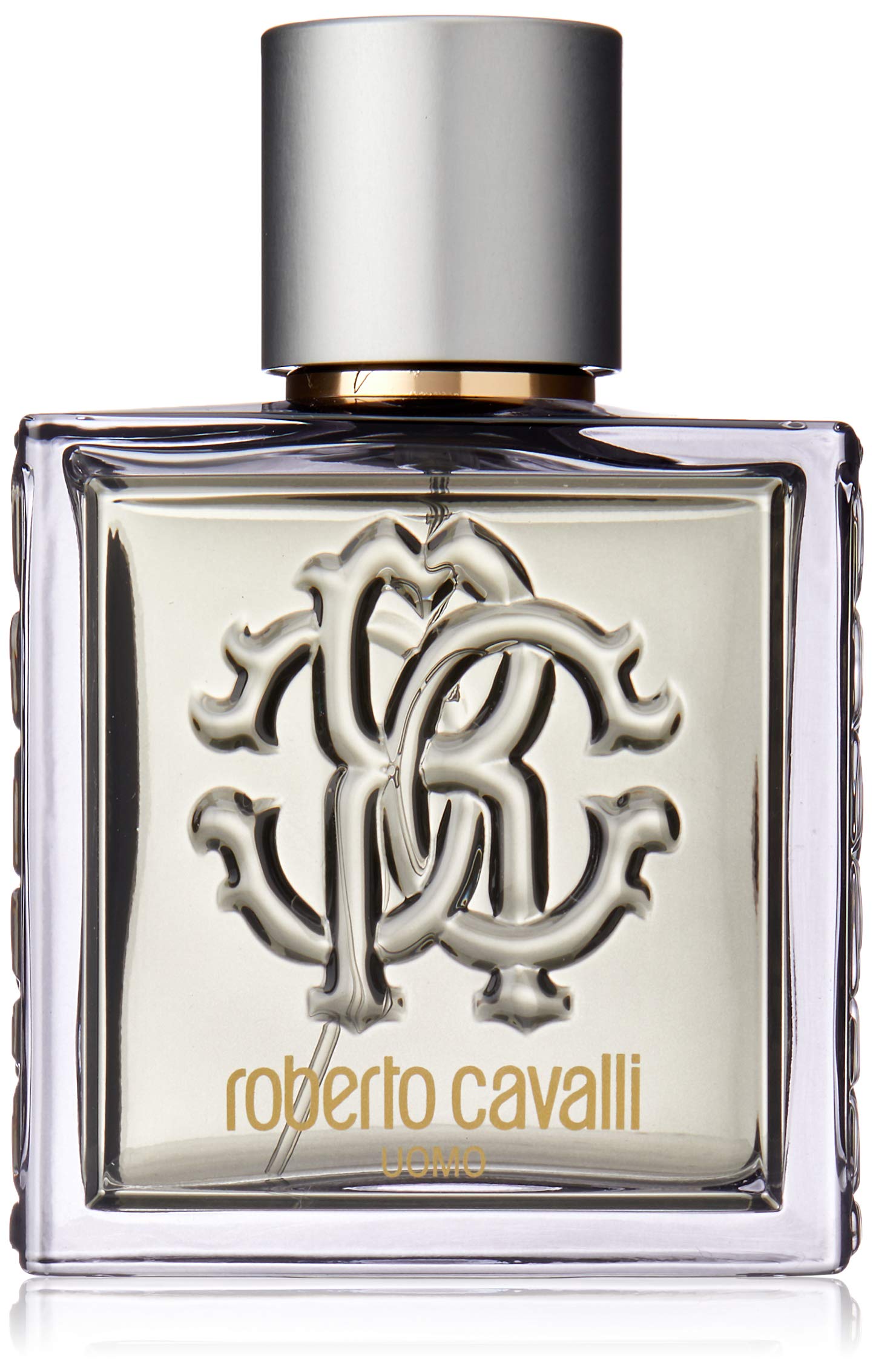 roberto cavalli uomo silver essence