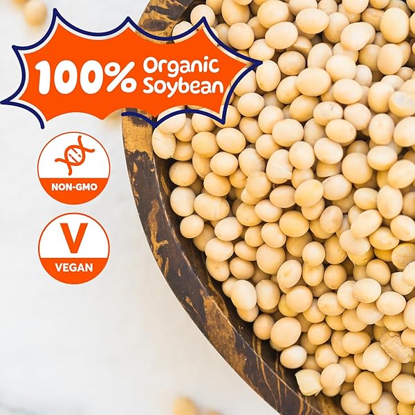 SUNGIVEN FREEZE DRIED NATTO BEANS FERMENTED SOYBEAN NON-GMO VEGAN READY TO EAT JAPANESE SNACK NATTO 3.53 OZ