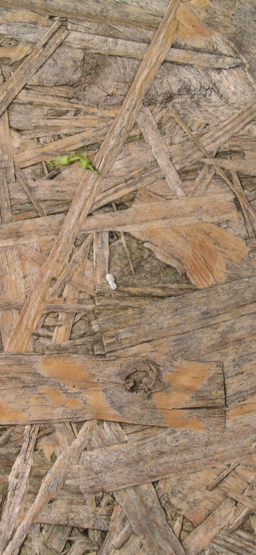 PeelitStickit Wood Pattern, Wallpaper, Wall Mural ID-023, vinyl